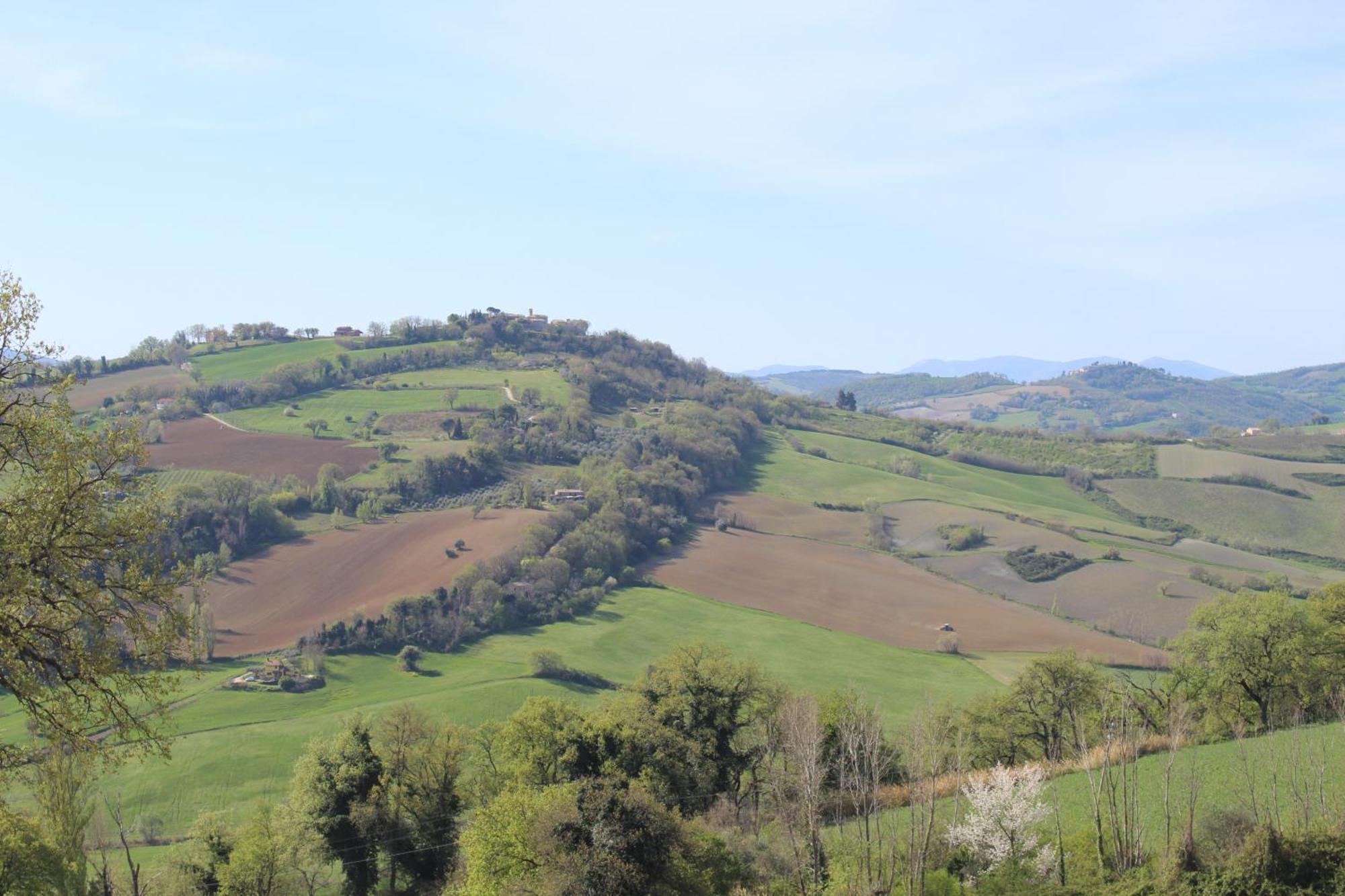 Casa Borgo Fonte Villa Castelleone di Suasa Exteriör bild
